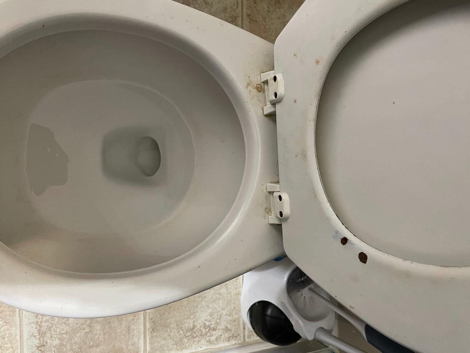 WhatsApp Image 2026-02-22 at 16.50.10