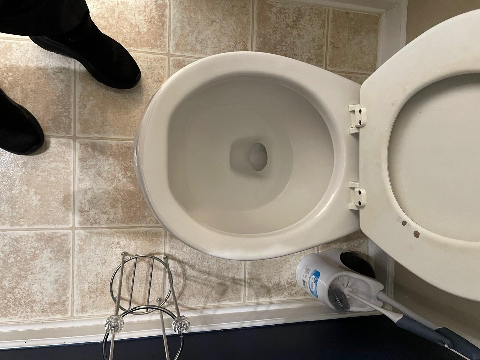 WhatsApp Image 2026-02-22 at 16.50.11